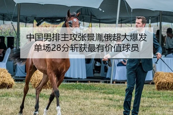 中国男排主攻张景胤俄超大爆发 单场28分斩获最有价值球员
